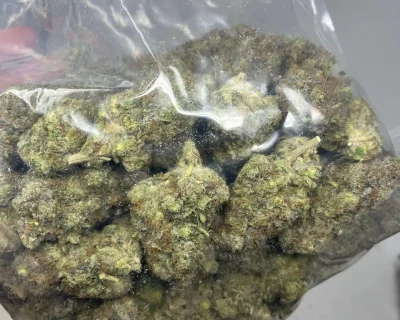 PINK FATMAN TOPS (EXTREME GAS) - Image 2